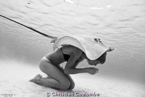 The mermaid and the stingray by Christian Coulombe 